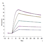 Cynomolgus uPAR/PLAUR Protein (PAR-CM101)