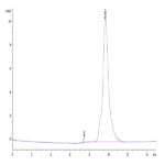 Human uPAR/PLAUR Domain 1 Protein (PAR-HM1D1)