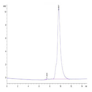 Human uPAR/PLAUR Domain 1 Protein (PAR-HM1D1)