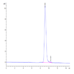 Human uPAR/PLAUR Domain (2+3) Potein (PAR-HM1D4)