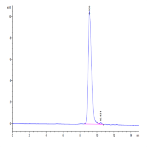 Human uPAR/PLAUR Domain (2+3) Potein (PAR-HM1D4)