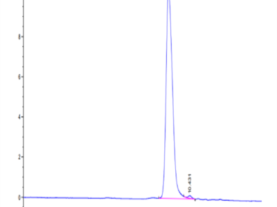 Human uPAR/PLAUR Domain (2+3) Potein (PAR-HM1D4)