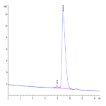 Human uPAR/PLAUR Protein (PAR-HM401)