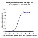 Biotinylated Human uPAR/PLAUR Protein (PAR-HM401B)
