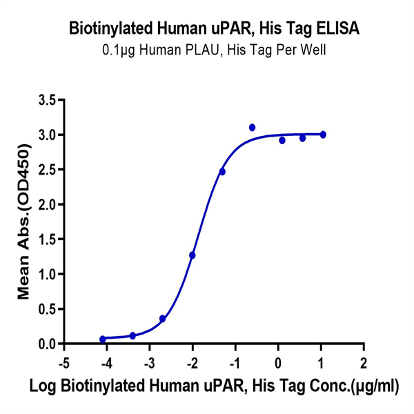 Biotinylated Human uPAR/PLAUR Protein (PAR-HM401B) Biotinylated Human uPAR/PLAUR Protein (PAR-HM401B)