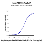 Human PSCA Protein (PCA-HM201)