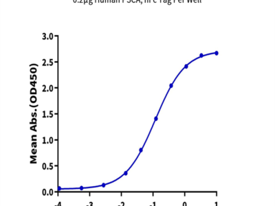 Human PSCA Protein (PCA-HM201)