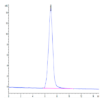 Human PSCA Protein (PCA-HM201)