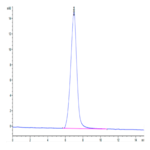Human PSCA Protein (PCA-HM201)