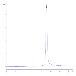 Mouse PSCA Protein (PCA-MM101)