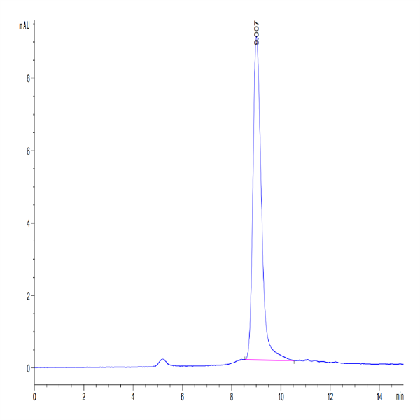 Mouse PSCA Protein (PCA-MM101)