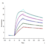 Cynomolgus PCSK9 Protein (PCS-CM190)