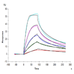 Mouse PCSK9 Protein (PCS-MM190)