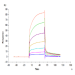 Cynomolgus PD-1/PDCD1 Protein (PD1-CM201)