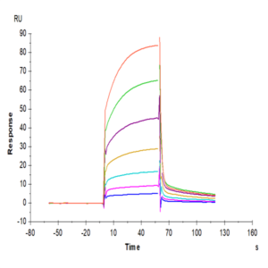 Cynomolgus PD-1/PDCD1 Protein (PD1-CM201)