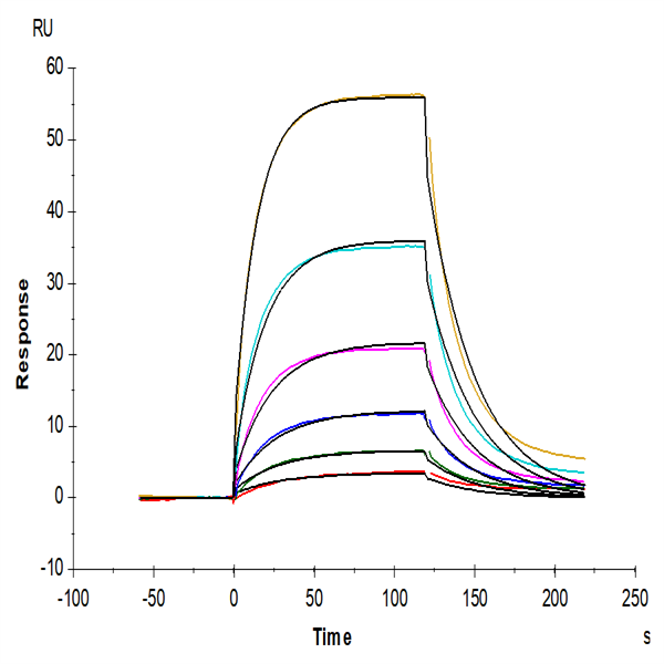 Human PD1/PDCD1 Protein (PD1HM101) KACTUS Biosystems Ushelf