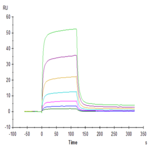 Human PD-1/PDCD1 Protein (PD1-HM201)