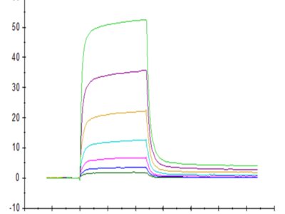 Human PD-1/PDCD1 Protein (PD1-HM201)