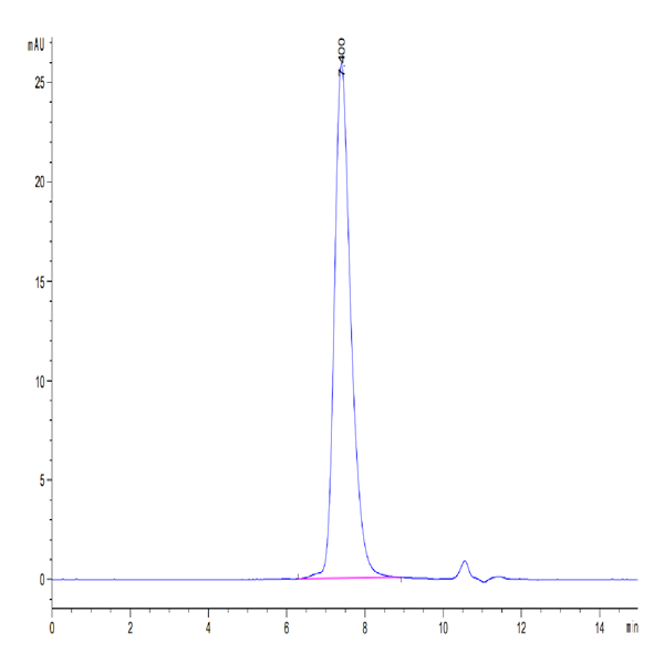 Biotinylated Human PD-1/PDCD1 Protein (PD1-HM401B)