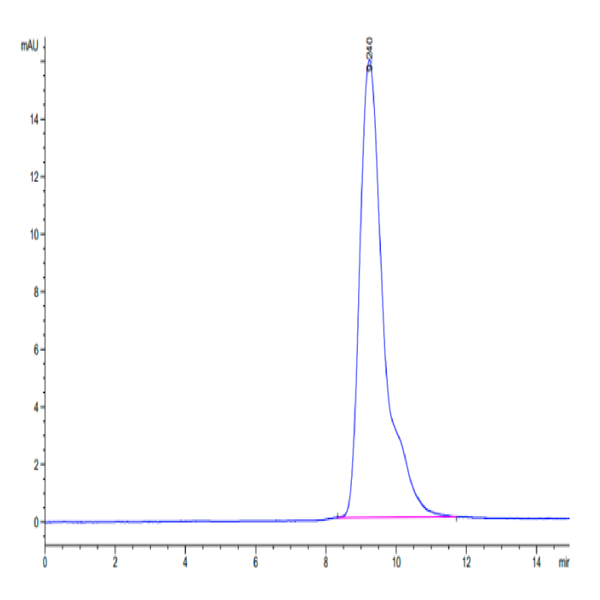 Cynomolgus PD-L2/B7-DC Protein (PDL-CM402)