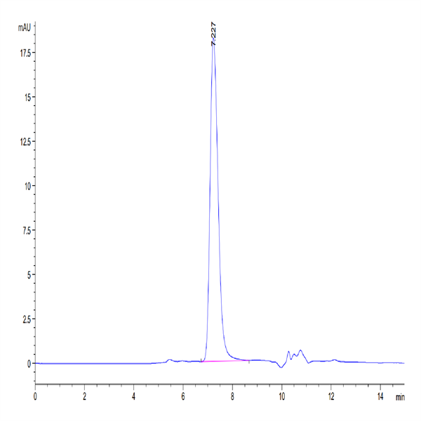 Human PD-L1/B7-H1 Protein (PDL-HM110)