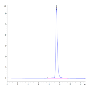 Human PD-L1/B7-H1 Protein (PDL-HM11D)
