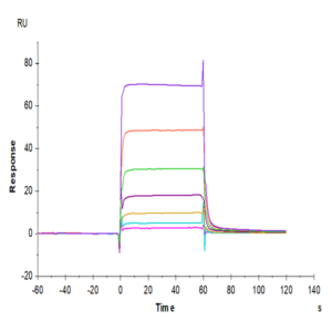 Human PD-L1/B7-H1 Protein (PDL-HM210)