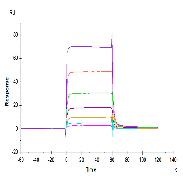 Human PD-L1/B7-H1 Protein (PDL-HM210) Human PD-L1/B7-H1 Protein (PDL-HM210)
