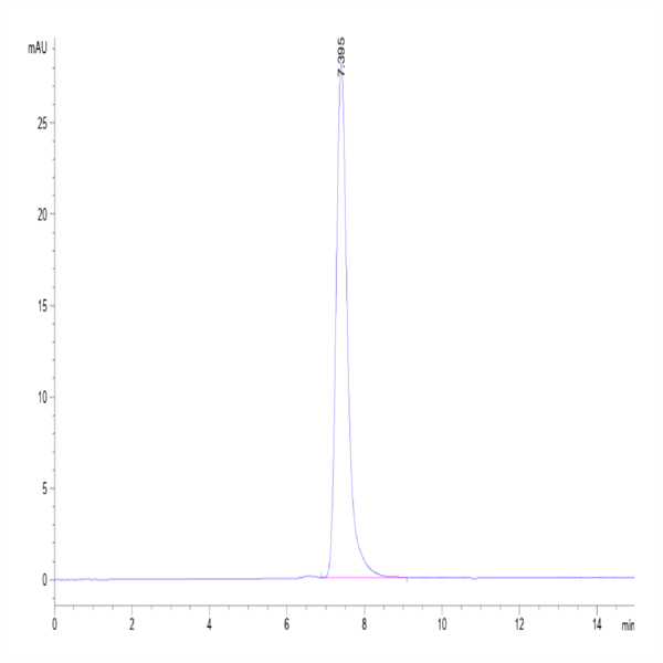 Human PD-L1/B7-H1 Protein (PDL-HM210)