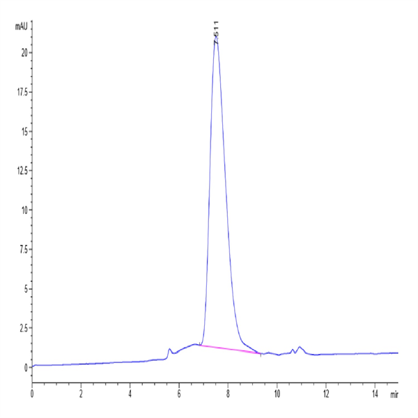 Human PD-L2/B7-DC Protein (PDL-HM402)