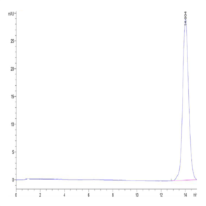 Mouse PD-L2/B7-DC Protein (PDL-MM102)