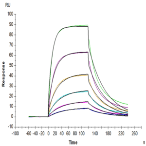 Mouse PD-L1/B7-H1 Protein (PDL-MM110)