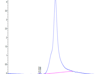 Human PDGFD Protein (PGD-HM101)