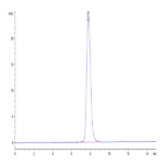 Cynomolgus PDGF R beta/CD140b Protein (PGF-CM1RB)
