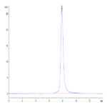 Mouse PGF Protein (PGF-MM201)