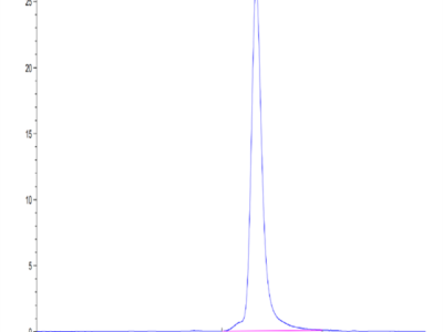 Mouse PGF Protein (PGF-MM201)