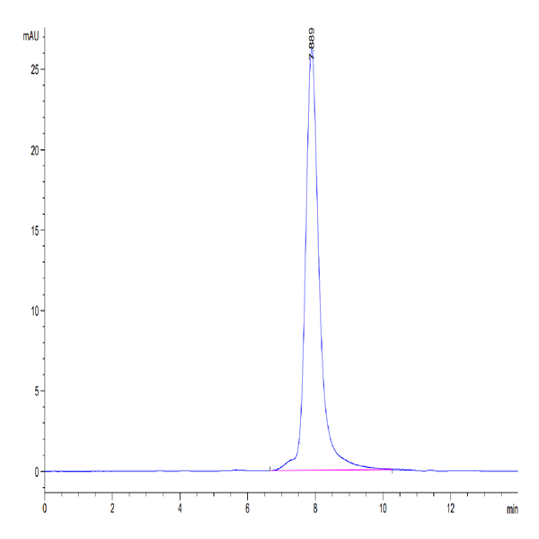 Mouse PGF Protein (PGF-MM201)