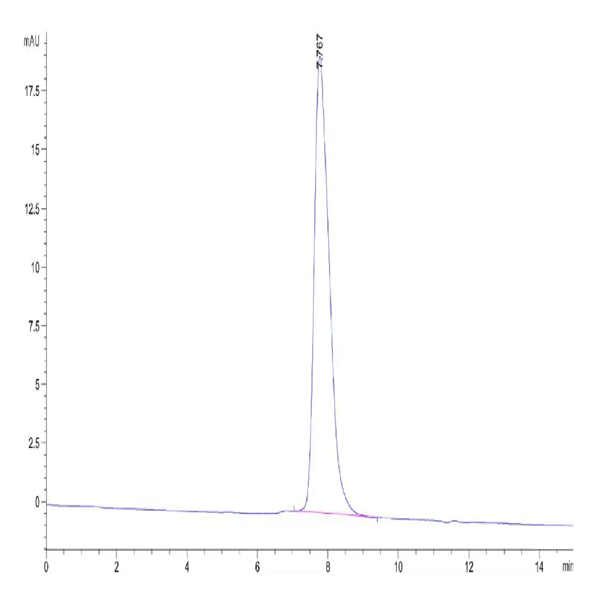Rat PDGF R beta/CD140b Protein (PGF-RM1RB) Rat PDGF R beta/CD140b Protein (PGF-RM1RB)