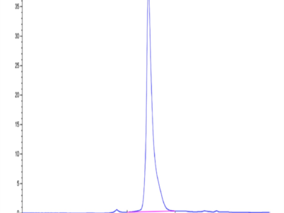 Mouse PGLYRP1 Protein (PGL-MM201)