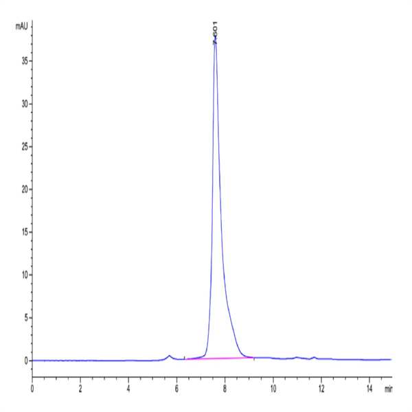 Mouse PGLYRP1 Protein (PGL-MM201) Mouse PGLYRP1 Protein (PGL-MM201)
