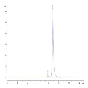 Mouse P4HB Protein (PHB-MM101)