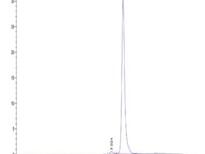 Mouse P4HB Protein (PHB-MM101)