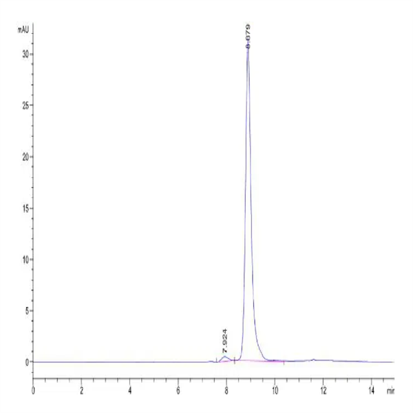 Mouse P4HB Protein (PHB-MM101) Mouse P4HB Protein (PHB-MM101)