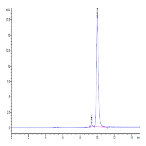 Human PHOSPHO1 Protein (PHO-HE101)