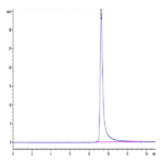 Canine PKA/PRKACA Protein (PKA-DE101)