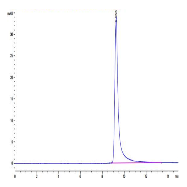 Canine PKA/PRKACA Protein (PKA-DE101) Canine PKA/PRKACA Protein (PKA-DE101)