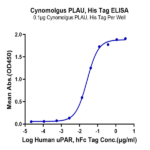 Cynomolgus PLAU/uPA Protein (active form) (PLA-CM101)