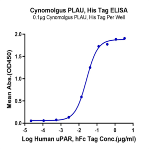 Cynomolgus PLAU/uPA Protein (active form) (PLA-CM101)