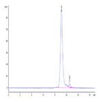 Cynomolgus PLAU/uPA Protein (active form) (PLA-CM101)