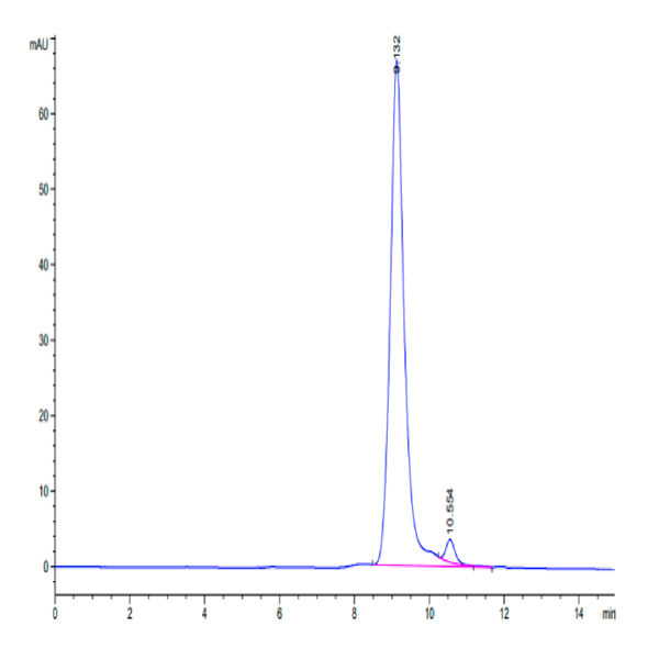 Cynomolgus PLAU/uPA Protein (active form) (PLA-CM101)